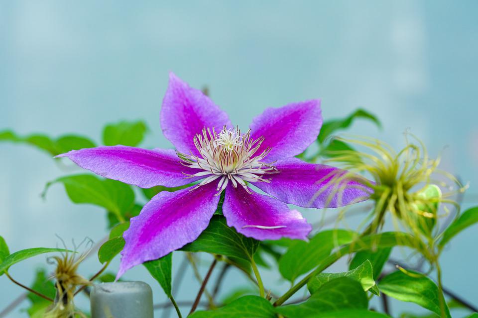 waika618's tweet image. Another great feature is making a short video for your post automatically using your existing content.

Click for more bsapp.ai/kjkZLW2MT

#free #upload #videophone #welcome #sharing #blue #strawberry #cameraphone #video