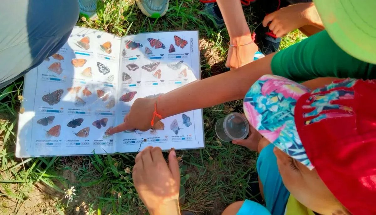 piemonteparchi's tweet photo. Farfalle e falene sono al centro di un progetto di Citizen science nel Parco La Mandria 🌲🌳🌷  
https://t.co/OBsGRYiFfY 
@parcomandria 
@ParcoNaturaleStupinigi 
@ArnicaTorino 
@dbios.unito.it
@unito.it   
#impollinatori
#falene
#api
#biodiversita
#parchidavivere https://t.co/99yUUDPz9v