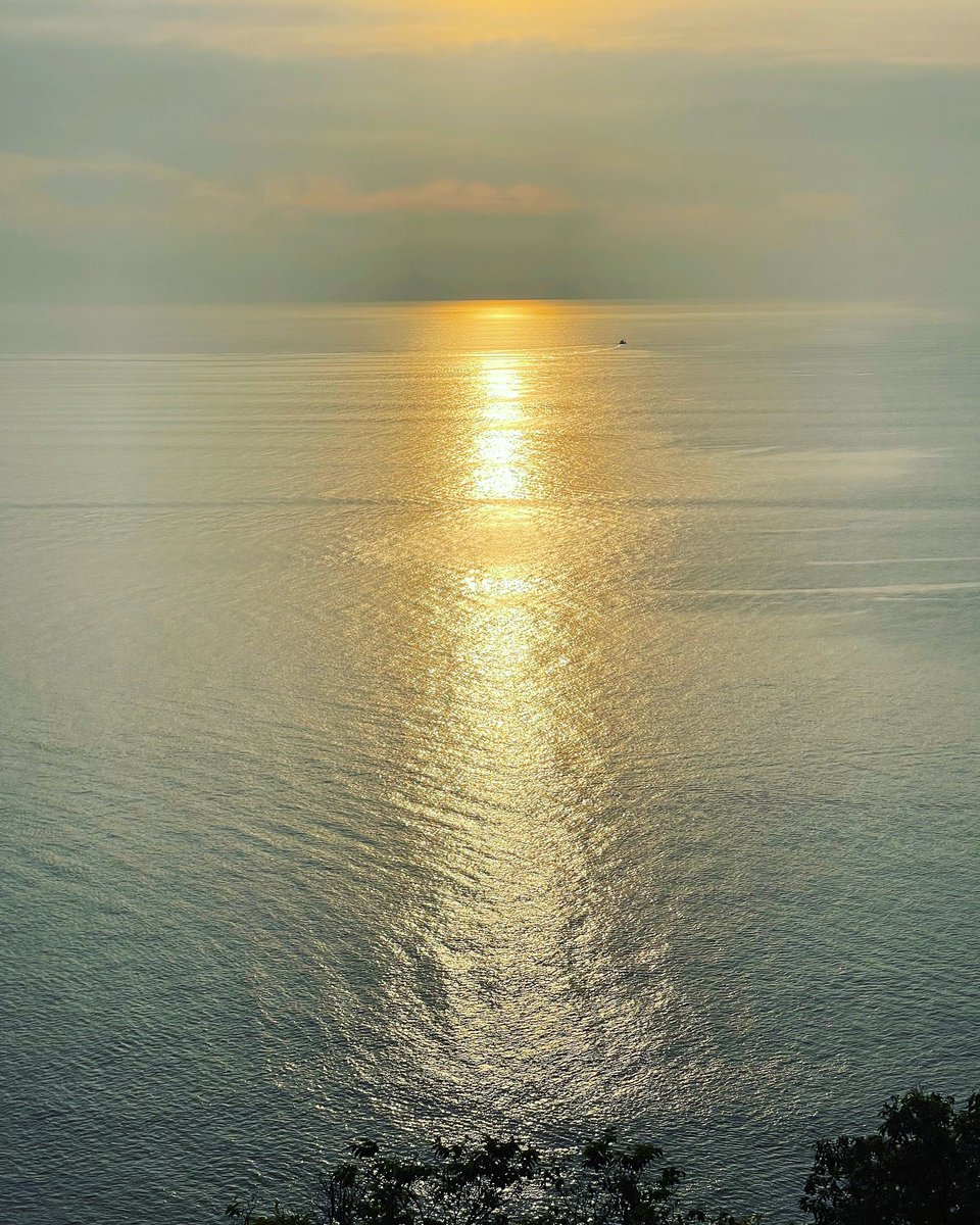 PPhromkot's tweet photo. 🌊🛖 Golden Hour at  #PhukeT ☀️🌴
ลานกางเต็นท์ที่กล้าพูดได้เต็มปากว่า “ นี่ คือ จุดชมพระอาทิตย์ตกที่สวยที่สุดบนเกาะภูเก็ต ”🏄🏻‍♂️ #sunset #beachlife #camping 🫶🏽 https://t.co/hj1L7KJ3rP