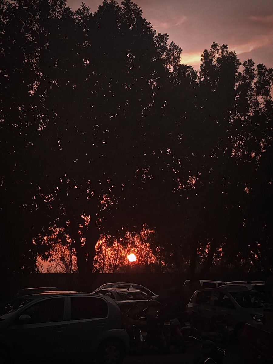 Somewhere near Clifton Seaview Karachi
#Karachi #sunsetphotography #sunsets #pakistaniartist #artist #ArtistOnTwitter #DawnNews #SamaaUpdates #ARYNewsUrdu #bbcurdu #etribune #bbcnature #NaturePhotography #hellopakistan #clifton #bankislami
