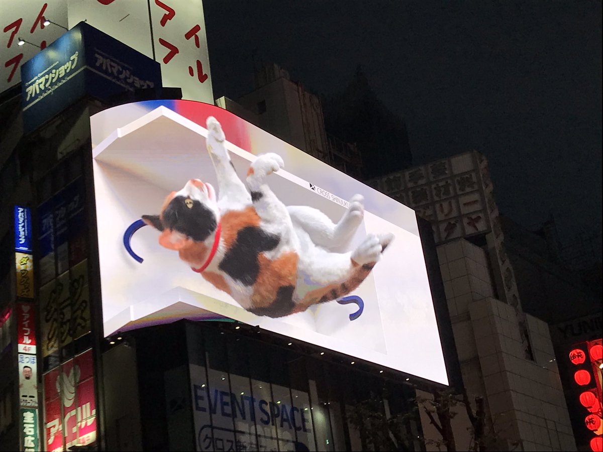 その後だいぶ経ってから、ようやく見つけることが出来ました…。 https://t.co/GYTmaATcvP