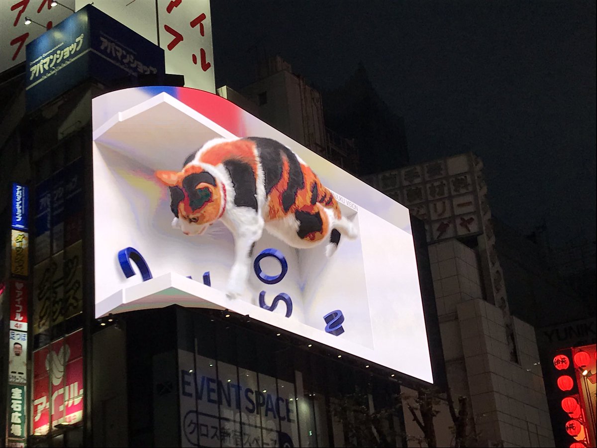 その後だいぶ経ってから、ようやく見つけることが出来ました…。 https://t.co/GYTmaATcvP