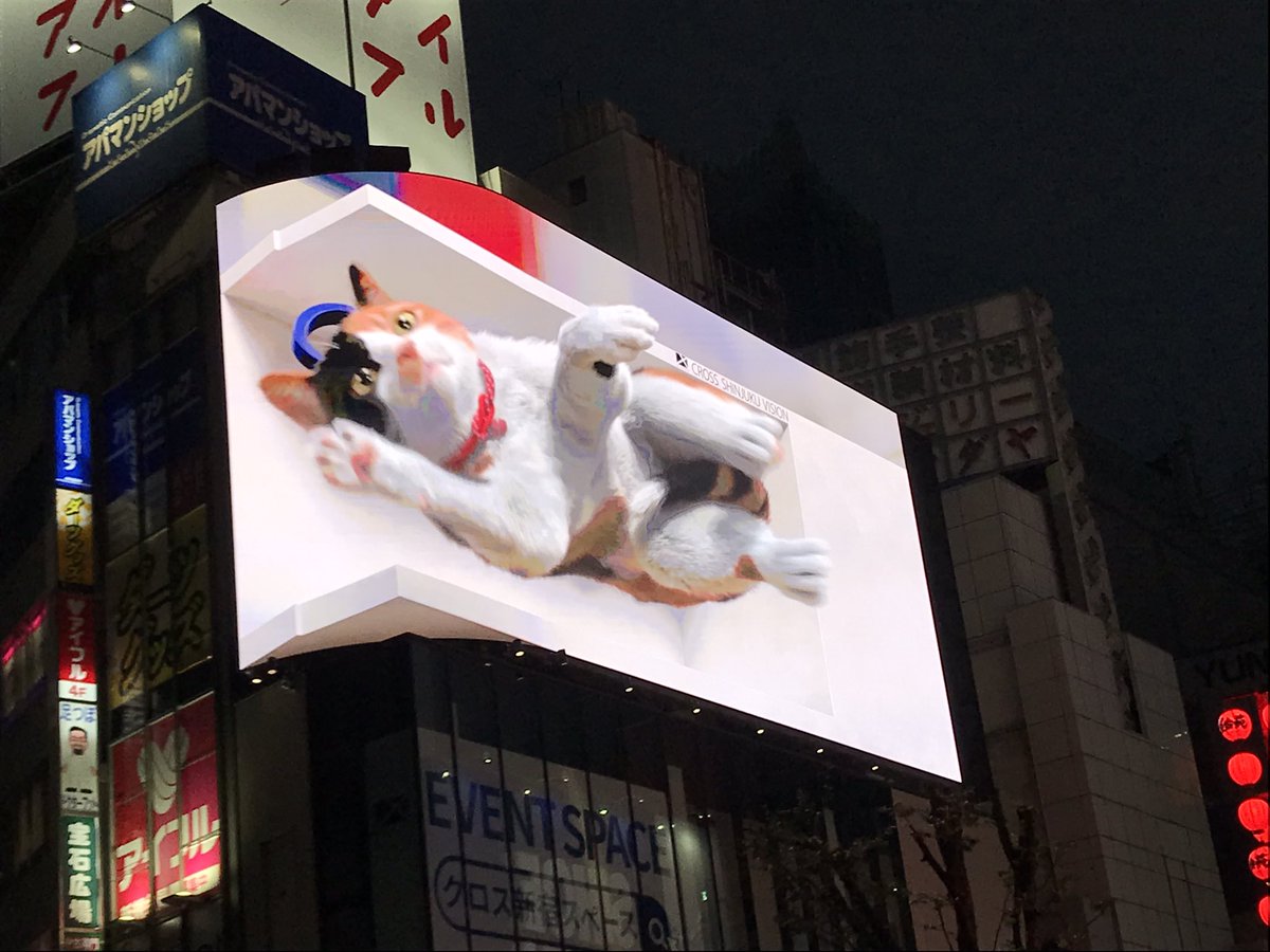 その後だいぶ経ってから、ようやく見つけることが出来ました…。 https://t.co/GYTmaATcvP