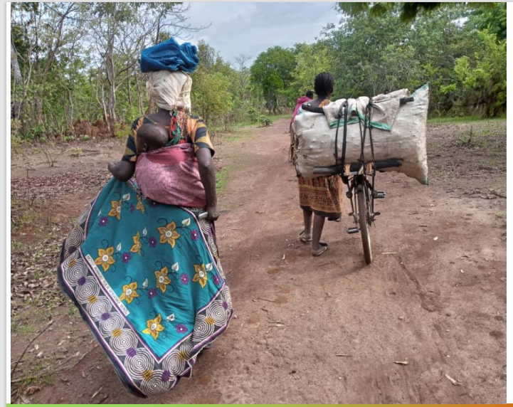 tanzdevtrust's tweet photo. #TDTPhotoComp #DecemberWinner

👨‍🌾👩‍🌾Farmers in Zeze, Kigoma have benefitted from the agricultural training provided by our local rep Benedicto, and now have surplus to sell in the village market💸

More on PhotoComp from our local reps at: https://t.co/YH3q5v4hmk

#ImpactingLives https://t.co/BT3EhJE43S