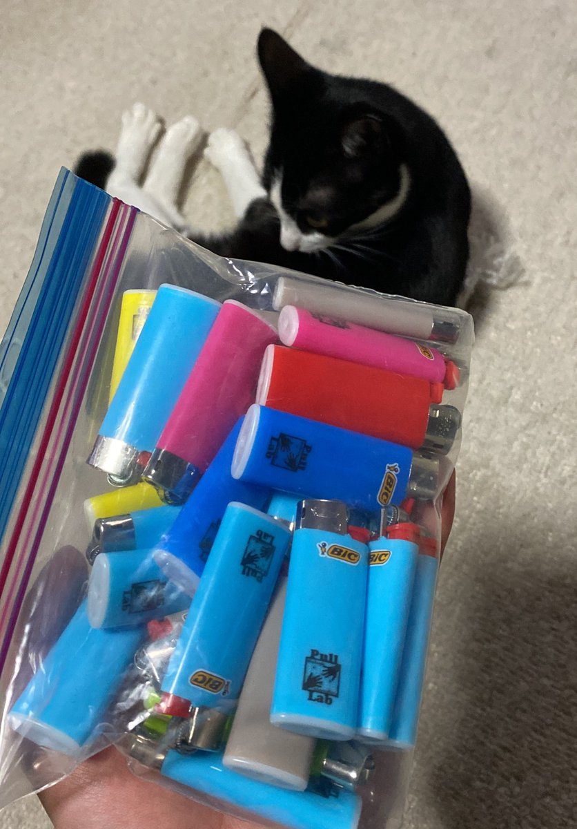 これ欲しい人あげます🌿✨

リツイート．リプ．などで
アピール下さい🥺

励みになった。
面白かった。
ポジティブになった。って思った人に適当に選んで送っちゃおうと思います😂

ライターをよく使う人
是非使って下さいww