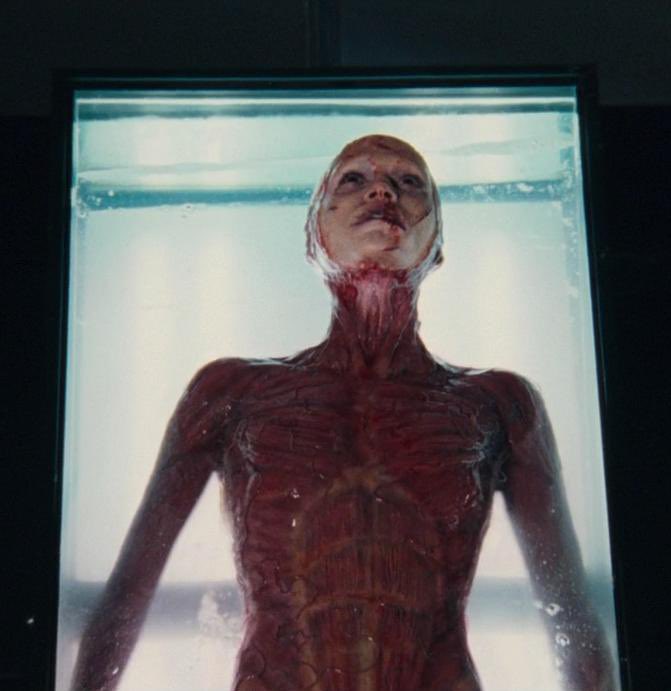 La peor muerte de la historia. 83 días en el Infierno. 💀

[Hilo]