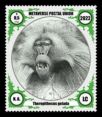 BarBrauner's tweet photo. Did you know that the Theropithecus gelada is considered Least Concern (LC) but its population is decreasing due to predatory human activity?
Discover more at Metaverse Dying Apes stamps collection. #Ape, #Dying, #Apes, #Nature, #Extinction, #Stamp, #Postage, #Metaverse, #Opensea https://t.co/Ilmfo0vwaz