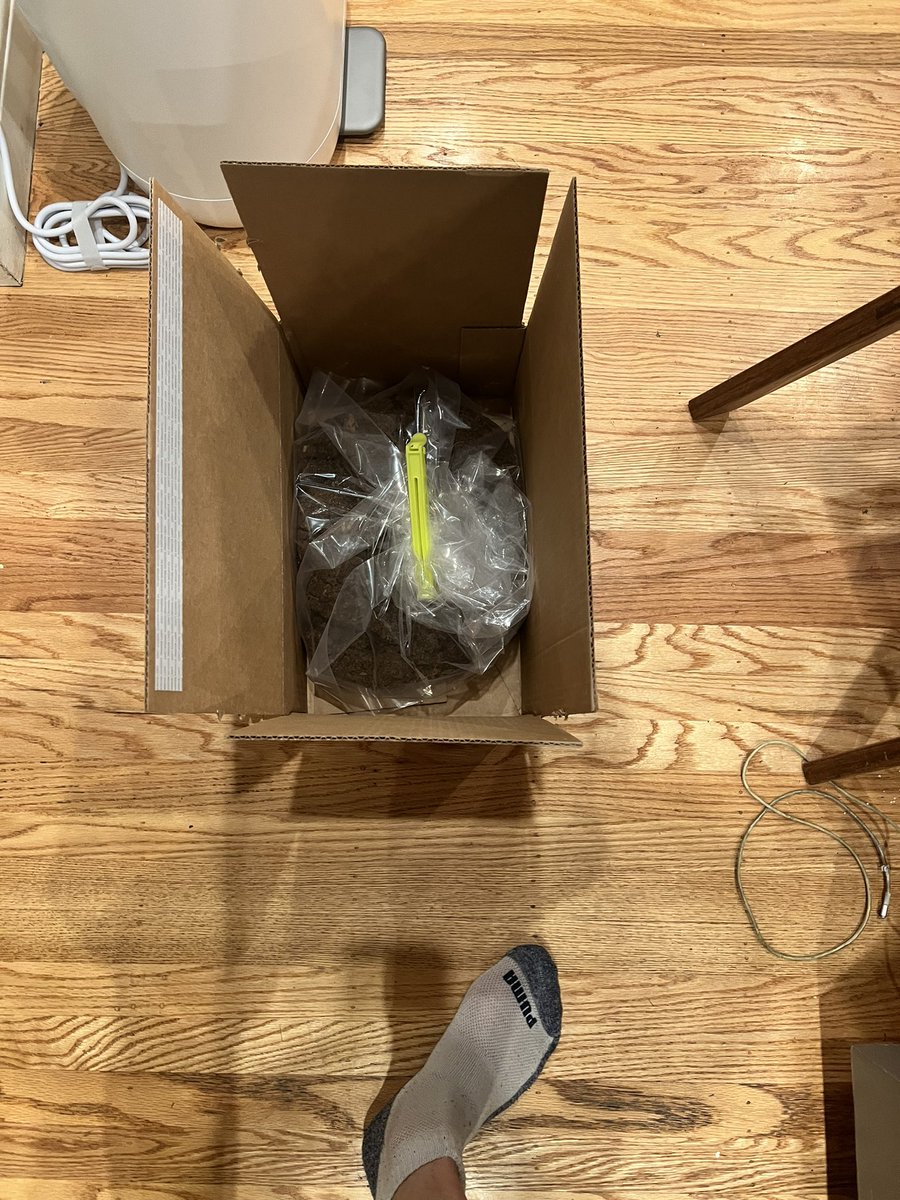 Gabriel Kra tweet media