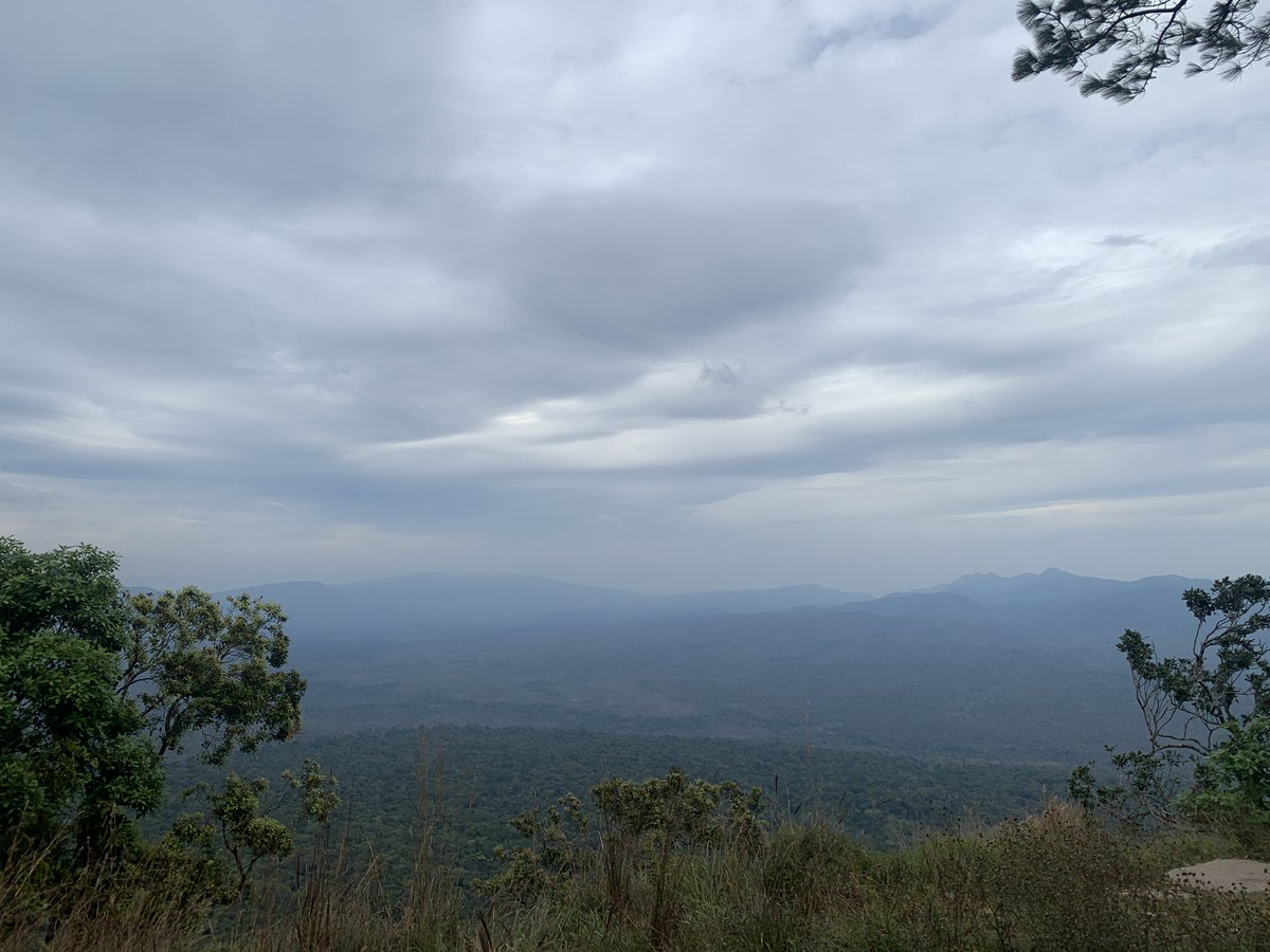 DavidGHenault's tweet photo. Kirirom Resort at Kirirom National Park Kampong Speu is a popular destination for mountain biking and hiking. 
VET is building a mountaintop resort with a variety of bungalows and tents.
#kiriromvillas #kiriromcamping #vireakbuntham #mountainbiking #vetresorts https://t.co/WMX0CFBawH