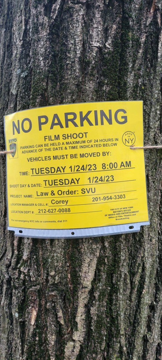 Adrián Molina® tweet media