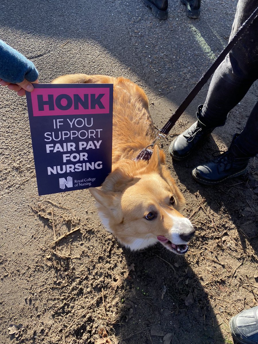 And Pippin (the hobbit). #FairPayforNursing