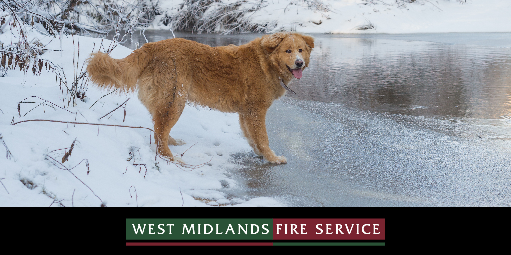 Keep your pup safe in winter weather!
Avoid frozen rivers, lakes, ponds and canals.
If your dog gets stranded on ice, or falls into freezing water, NEVER go in after them. Inland, seek help from the fire service by dialling 999 or 112. 
#WinterSafety #DogsofTwitter
