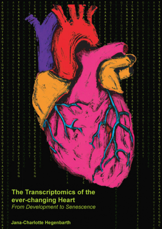 #thesisdefence tomorrow @ 13.00 @HegenbarthJana will defend the thesis: 'The transcriptomics of the ever-changing Heart: From Development to Senescence'

 #transcriptome  #RNAsequencing #hIPSCs
#phdlife 
@WindtLeon @MaastrichtU