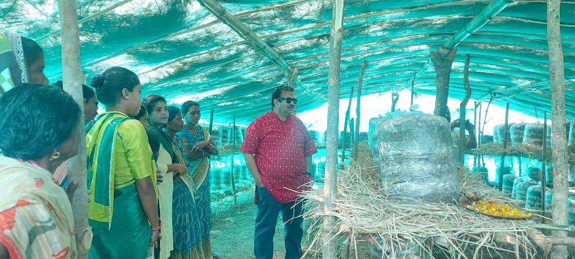 Visited different Mushroom units....
<a href="/DM_Rayagada/">Collector & DM, Rayagada</a>,@PDDRDA_Rayagada