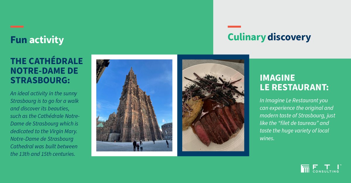 FTIconsultingEU's tweet image. What were the main takeaways from this week’s #Strasbourg plenary? Check out the top policy highlights and recommendations from our first group of experts on the ground in 2023 #VPElection #ConsumerProtection #Transparency