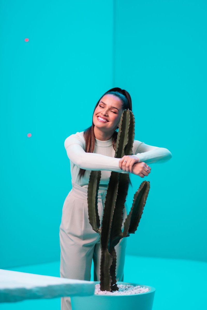 juliette's tweet photo. Há dois anos vocês trouxeram sentido para toda essa loucura… apoio, suporte, carinho, compreensão, lealdade e muito amor. 
Gratidão por tudo que já vivemos juntos e por tudo que ainda virá. Eu amo cada um de vocês!🌵 #cactosday https://t.co/D5AUcH9YBo