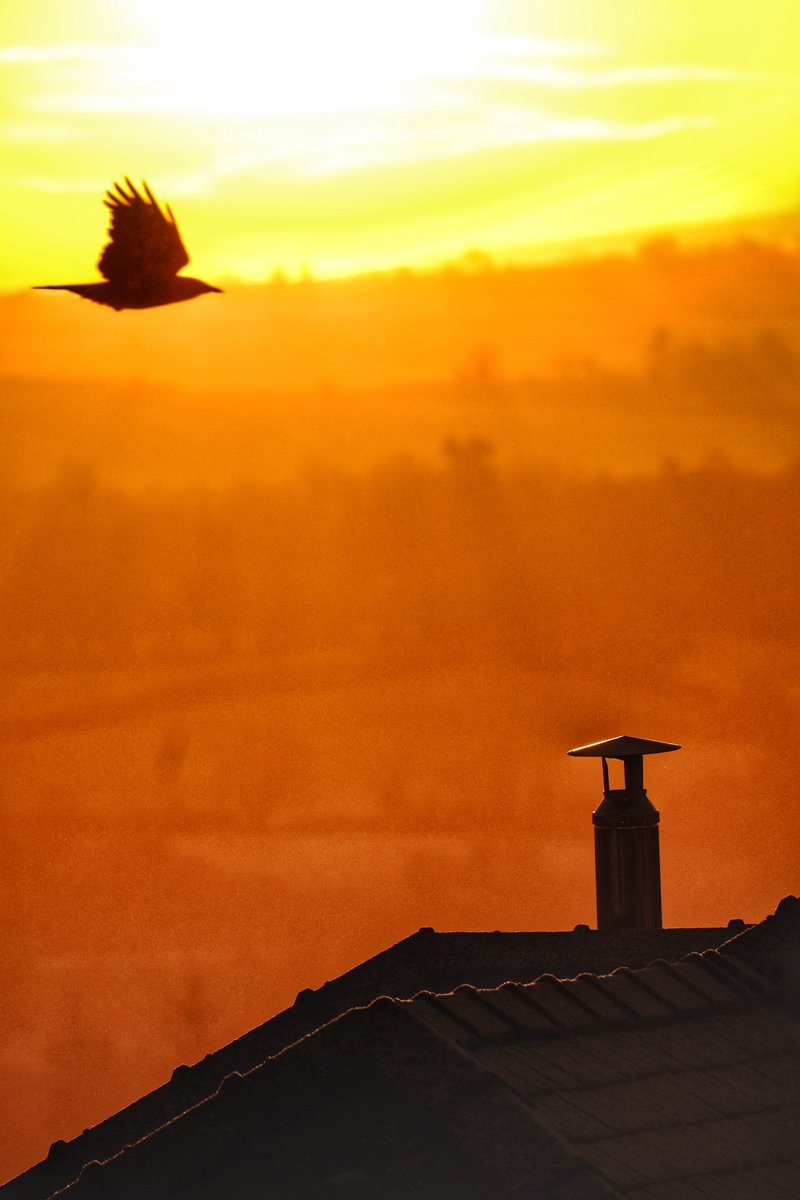 Ciaran Cunningham tweet media