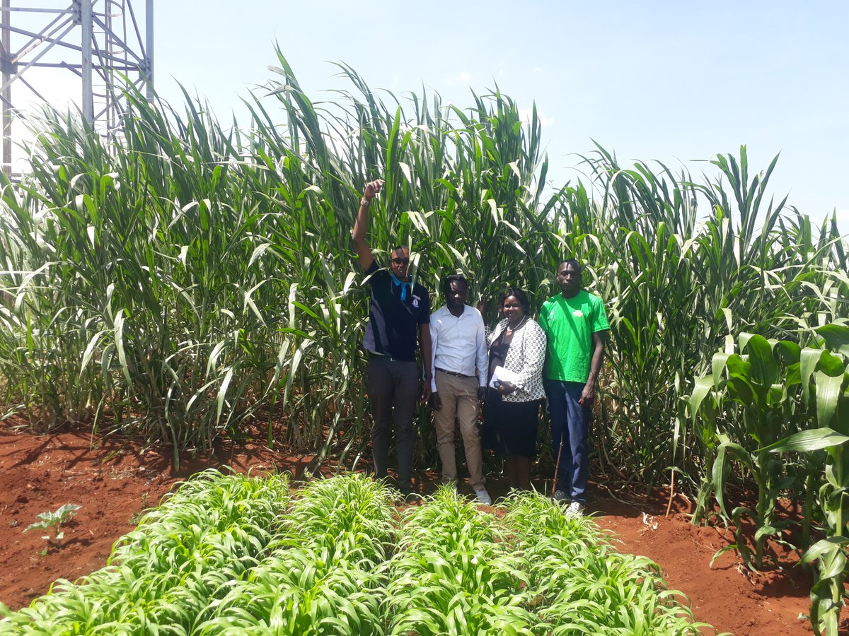 Wayne Tiampati tweet media