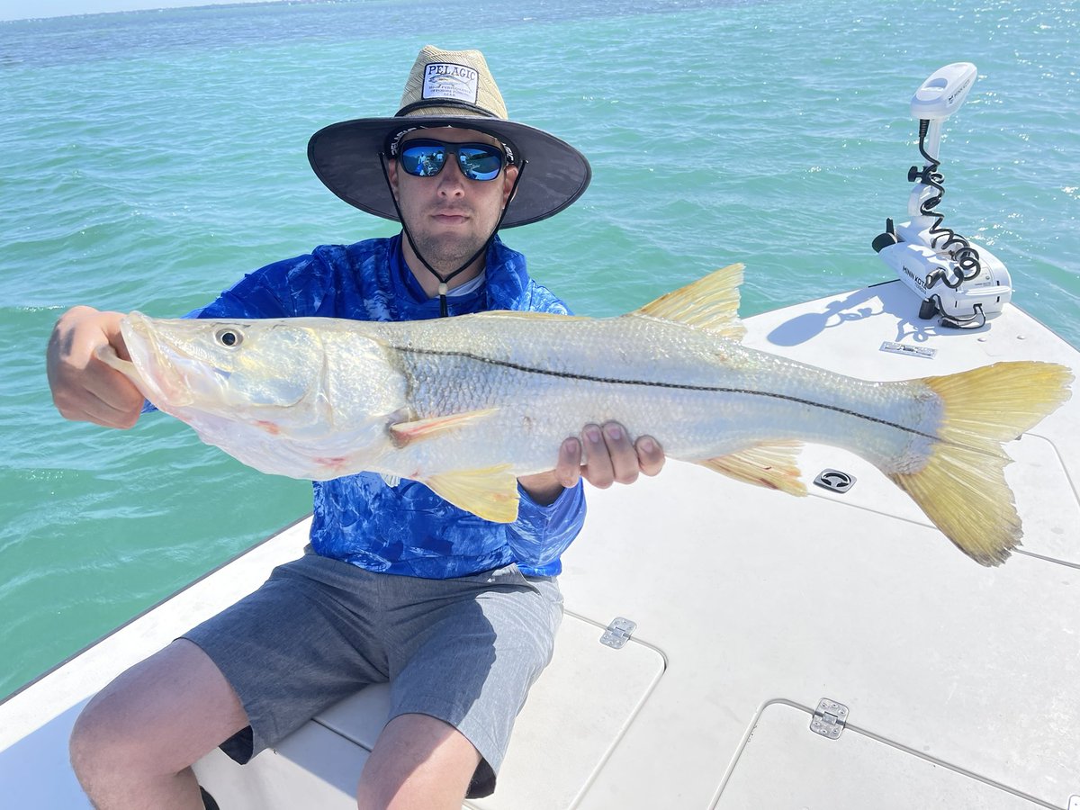 #Sarasota #sarasotabayfishing #capttoddwalker #sonofafishcarters  bayfishingsarasota  #snookfishing a great fishing Sarasota Bay with Capt Todd Walker