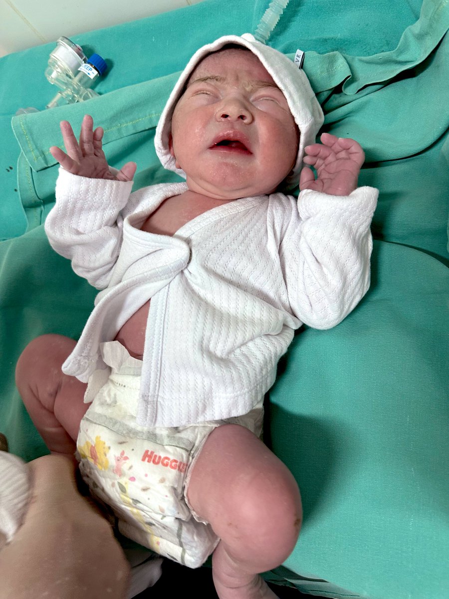 Emma Zappa 🐄🇦🇷 tweet media