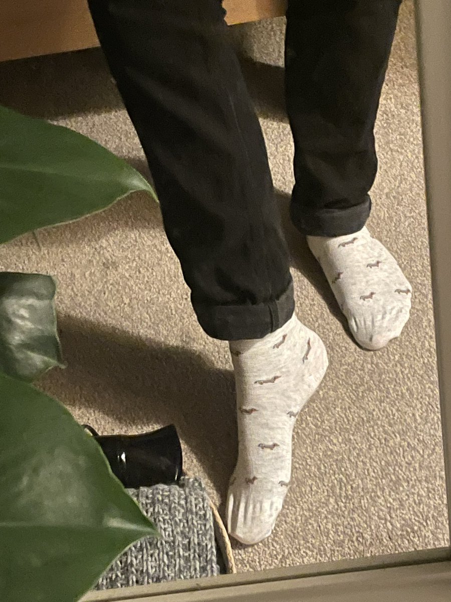 john_potter2's tweet photo. It’s Elton’s first day in the office today! 🐶 He’s fitting right in at @thestorymob and even making new friends with other offices at @WeWork! To mark this special occasion I am wearing my @LDNSockExchange dog socks! 🧦 https://t.co/I9KFlEzQU7