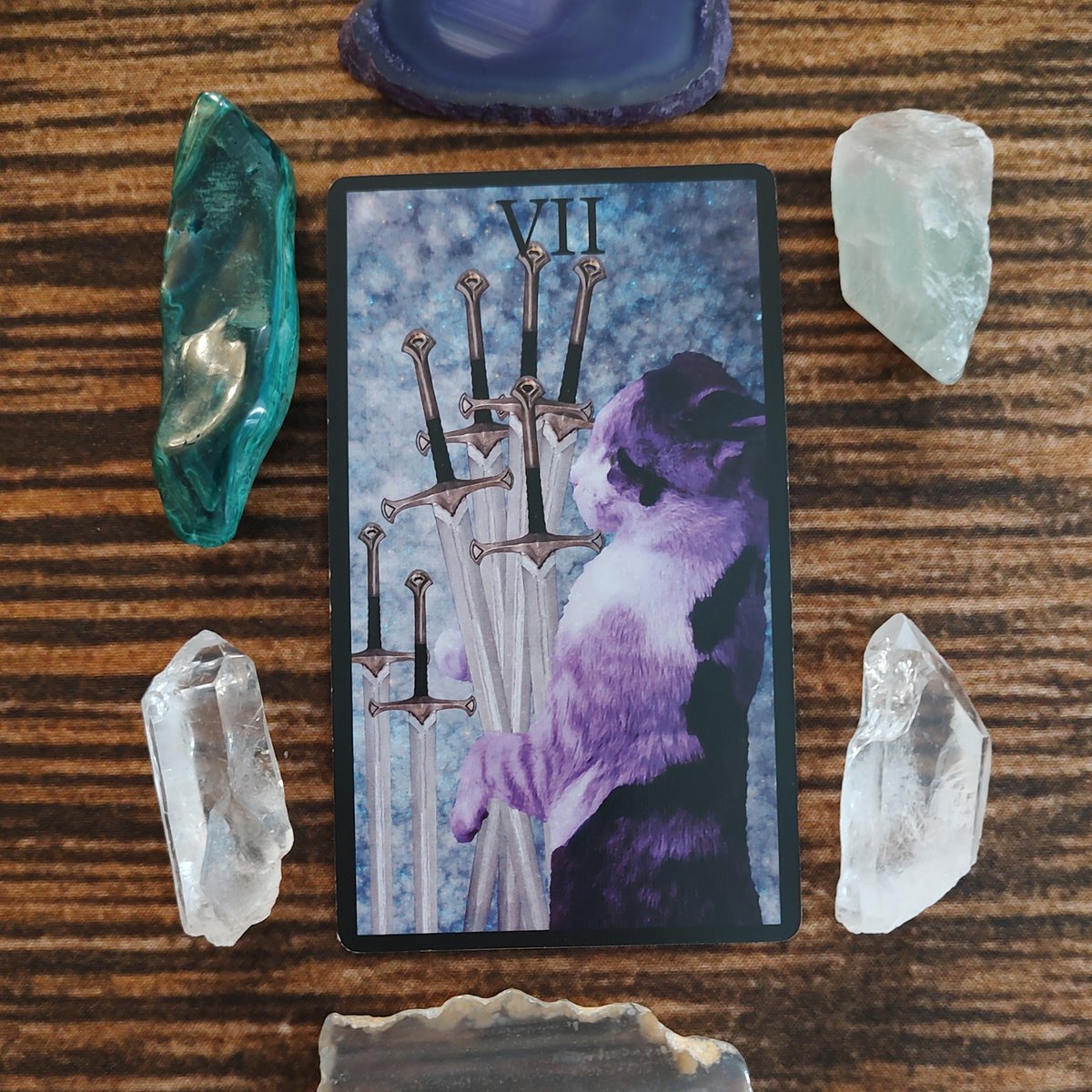 FairySurreal's tweet image. Try not to be underhanded and shady unless you have absolutely no other choice, but if the omelet is important enough, sometimes we really just need to break those eggs. #dailyspread #tarotcats #sevenofswords #neworleans #magick #readingcards buff.ly/3GStbz4