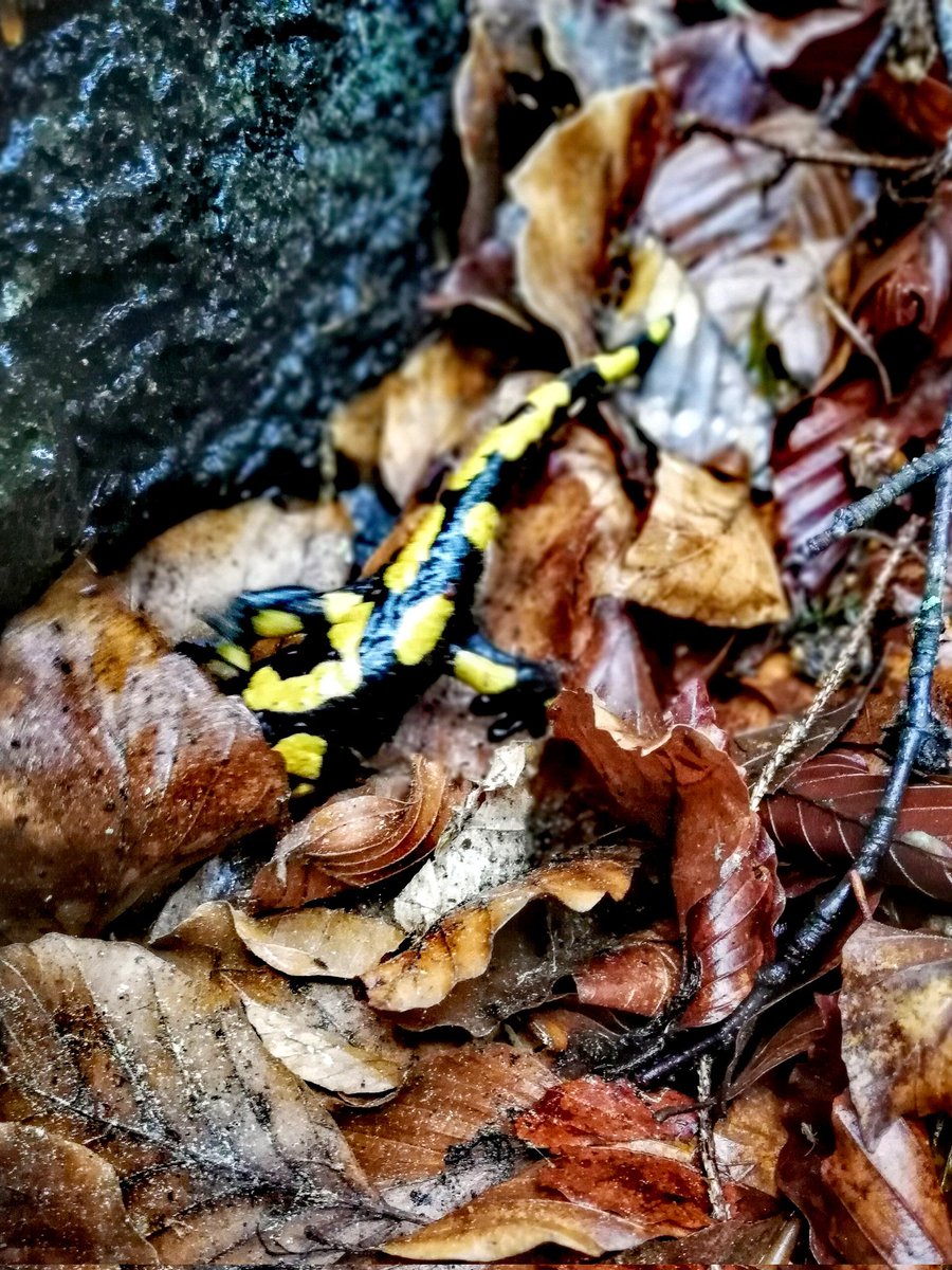 „Denke lieber an das, was du hast, als an das, was dir fehlt“ 🍀