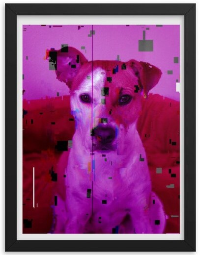DesignsGoth's tweet photo. American Pit Bull Terrier Unique Framed Art
Available in x12 sizes now
https://t.co/DafGgqIGNB

#bullterrier #bullterrierlove #dog #dogsofinstagram #bullterriersofinstagram #bullterrierlovers #dogs #englishbullterrier #bullterrierworld #bullterriers #bullterriergram #doglover https://t.co/3EO1rYn8Bw