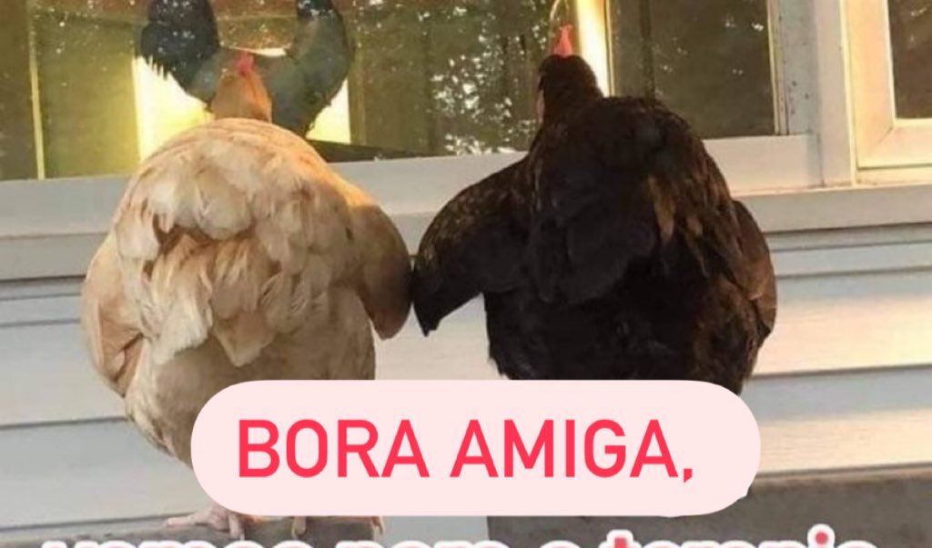 popzone's tweet image. BORAAAAA, amiga

Bora marcar aquele terapia presencial ou online, já q com minha internet n tem risco de travar 

@oi_oficial #OiBoraBora 

ᵖᵘᵇˡⁱ