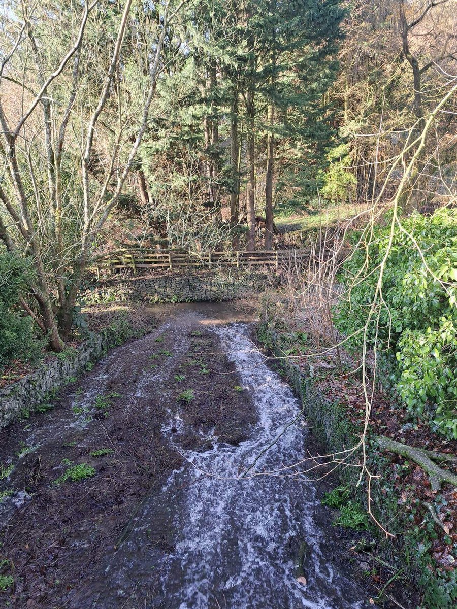 JFoley_2020's tweet photo. #somersetlife #ThursdayMotivation #walkingwithfriends #blueskys #slippery https://t.co/b3Jgn5jajF