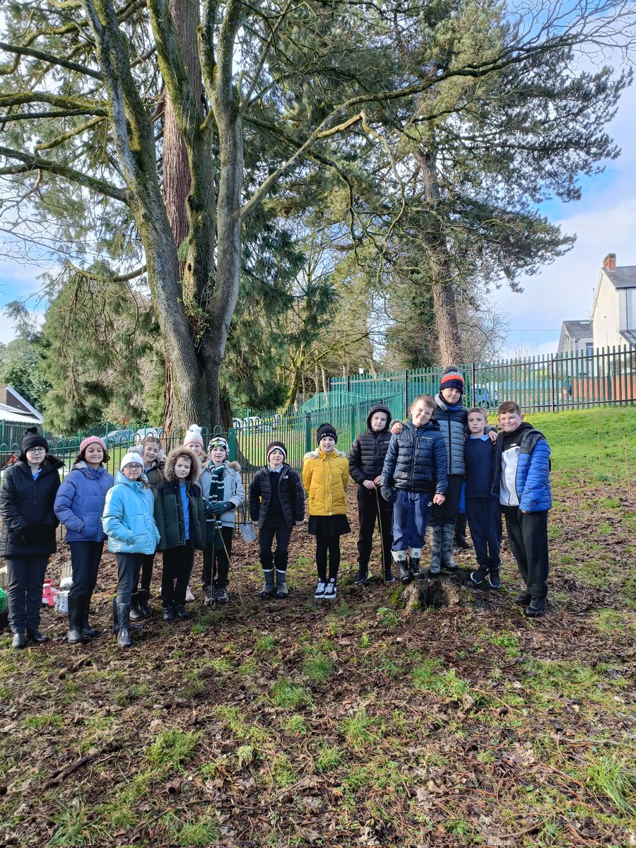 Griff_Ecoclub's tweet photo. We had a great day yesterday, ending with very muddy hands! We planted over 70 trees in our school grounds. Thank you to Bryony from @Keep_Wales_Tidy @KWT_Torfaen @EcoSchoolsWales @Griff_HEAD https://t.co/BPTVJ76X7Y