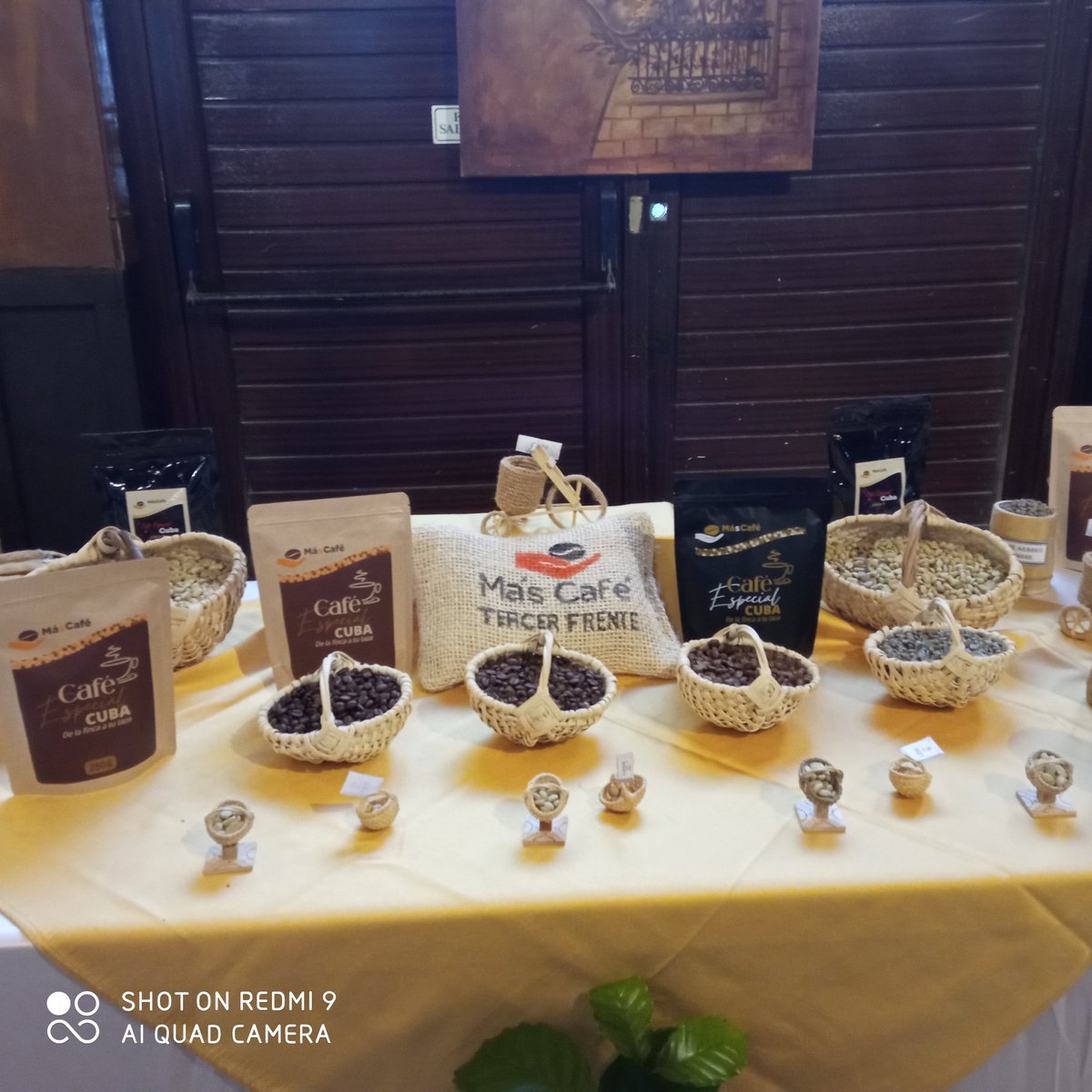EmmaLM63's tweet photo. Inicia #HotelNacional el Taller Cuba Café, experiencias y buenas prácticas a través del proyecto de cooperación que se desarrolla con financiamiento de #Italia. Un aporte a la seguridad alimentaria con revitalización de la producción de #MasCafe @MINCEX_CUBA @aics_lavana @aics_it https://t.co/Zlb1tOPVeG
