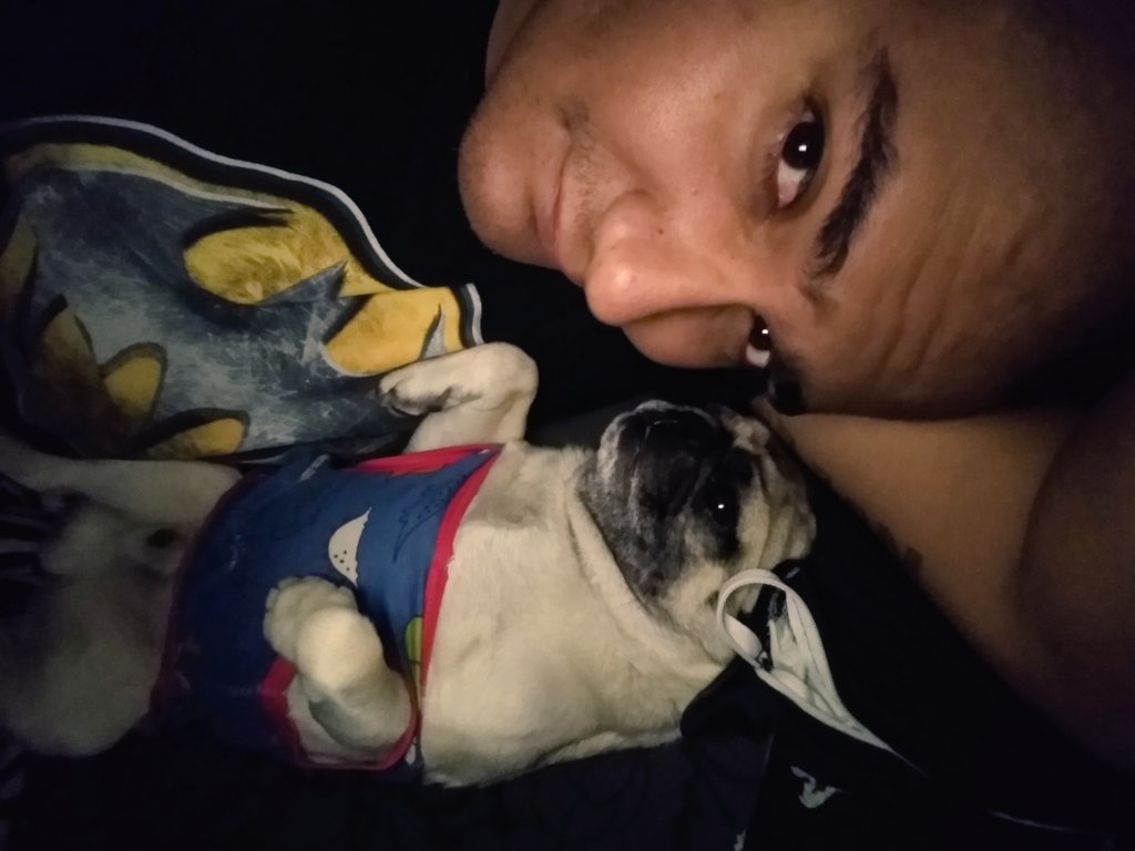 VANKILLER's tweet photo. Juanchito el chiquiado 🐶

#Pug #puglove #puglover #pugpuppy #pugnation #pugworld #pugs #perro #perros #perritos #mascotas #mascota #animals https://t.co/GKivF3YGvy