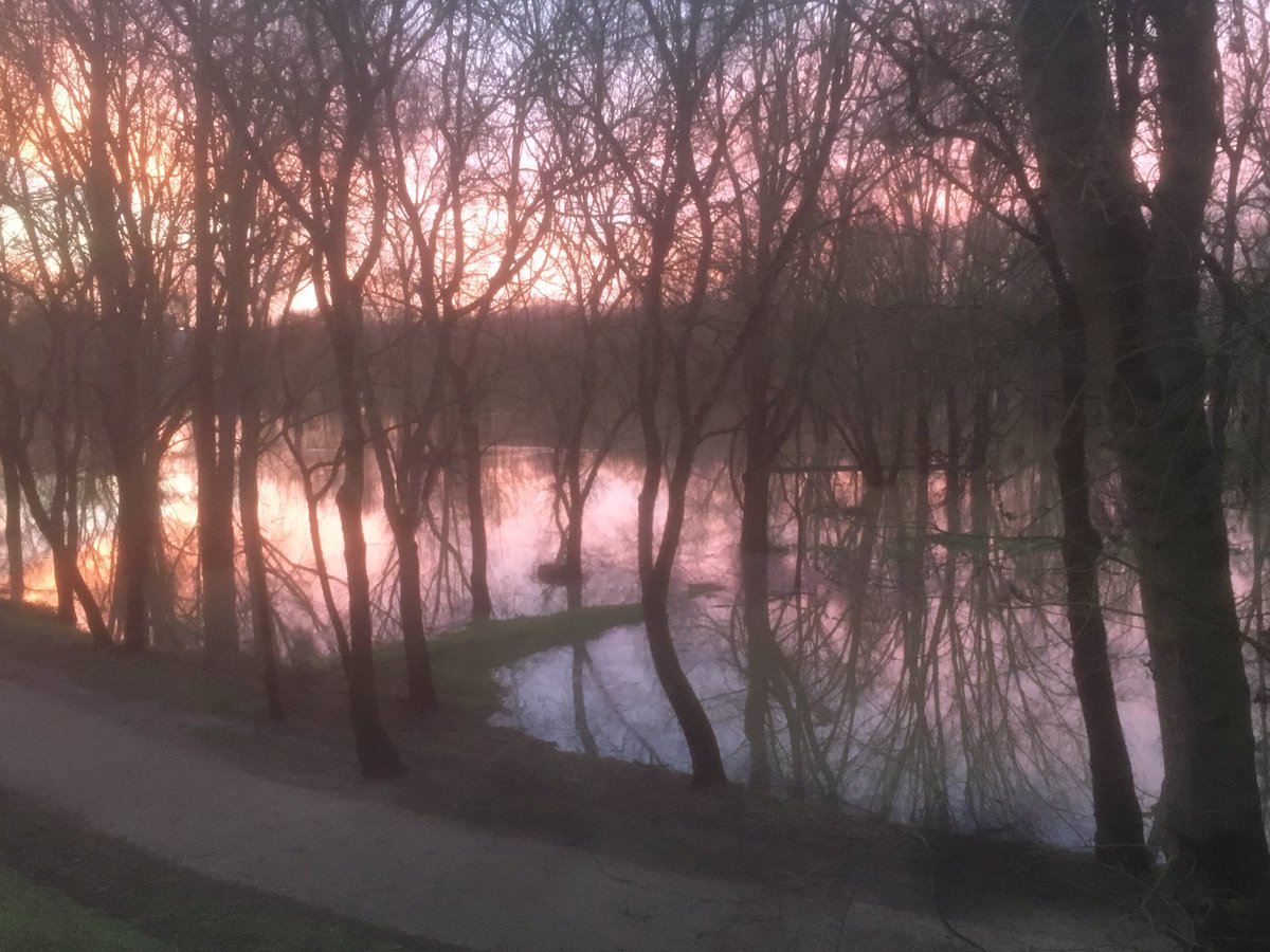 Le retour du bayou d’#Angers au Parc Balzac après plusieurs hivers secs. Un vrai plaisir pour les yeux de #NatureEnVille 

Imaginez un🐊dans ces eaux ! 
#SuperNatureAngers