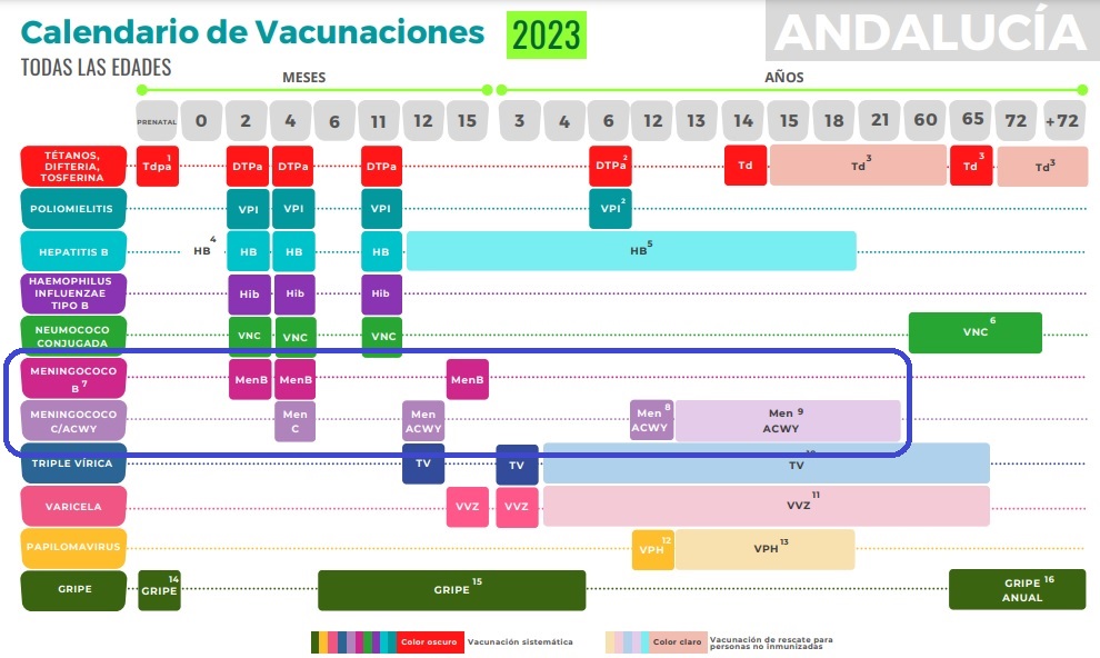rosaritoCIM's tweet photo. ¡¡Buenos días #farmacia!! Desde la #FarmaciaComunitaria podemos revisar los calendarios  de nuestros niños y comprobar que están protegidos frente a los meningococo A, B, C, W e Y. Nos hemos quitado las mascarillas y la meningitis sigue ahí.  #IICongresoAndavac #AndalucíaSeVAcuna https://t.co/F5quSadvXw