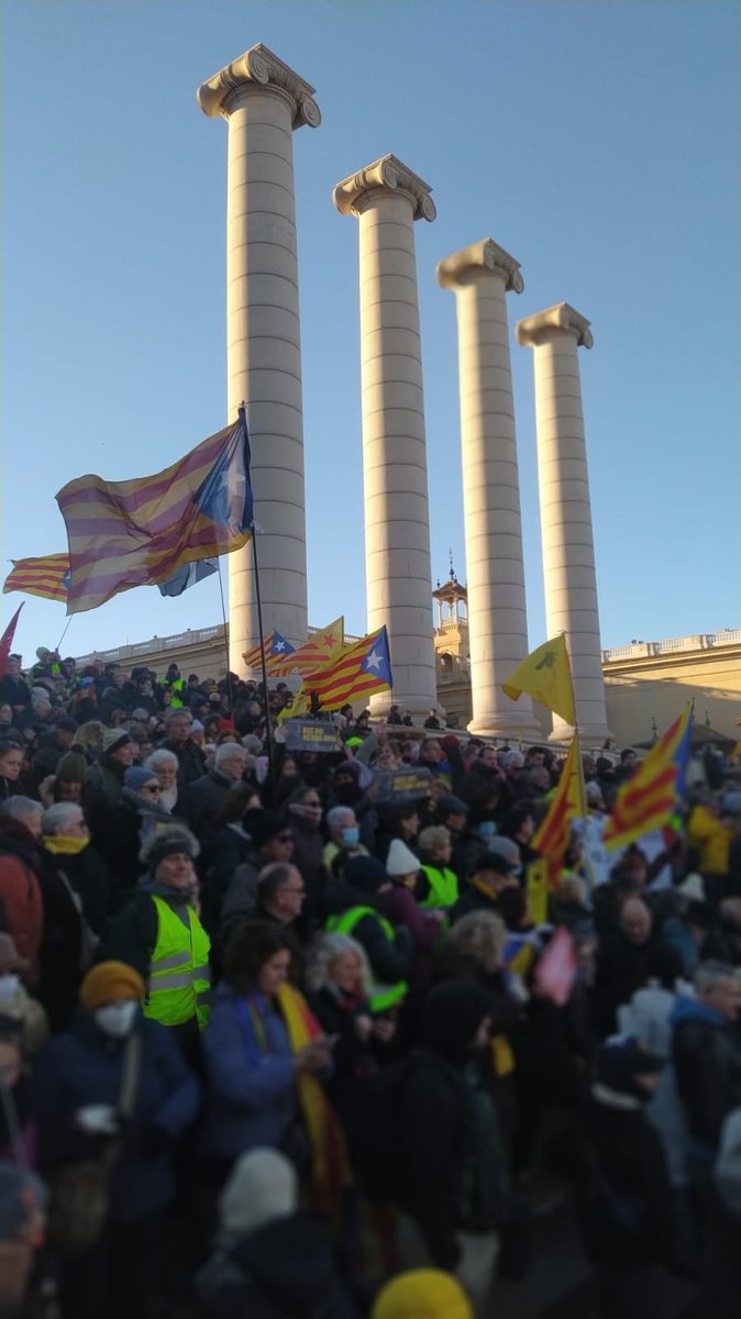 UM9/CUP Construïm tweet media