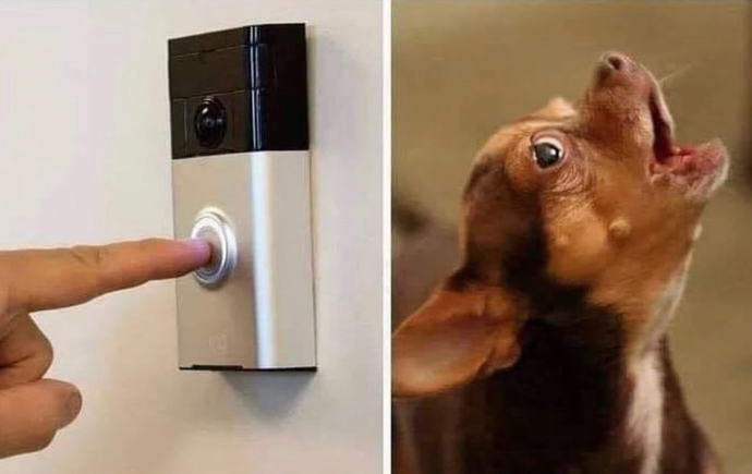 flantasma tweet media