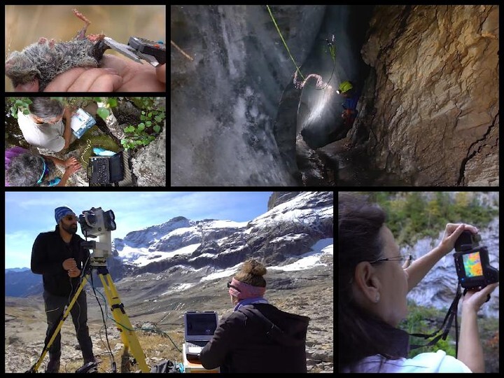 IPE_CSIC's tweet photo. No te pierdas el vídeo sobre el seguimiento ecológico en #ParqueNacionales de #montaña (#LTER) en el que participan compañeros del #IPECSIC #Ordesa #Ecologia
https://t.co/exfq0QiLWF https://t.co/KL35xXxB98 https://t.co/Wkpa62szvk