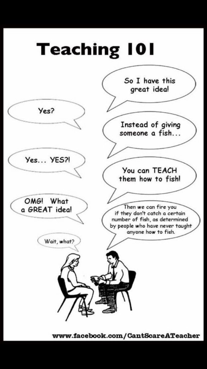 Mr Brown and Milo the wonder dog (@mrbrown_milo) on Twitter photo 