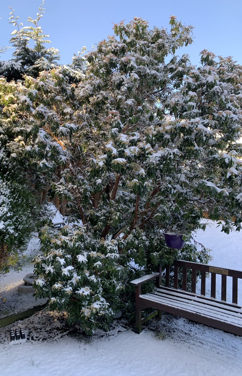 anniean73967235's tweet photo. #FreshFall ❄️❄️ https://t.co/P3pJ7Mwryl