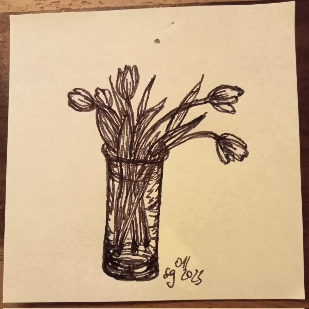 Ichuebenoch's tweet photo. #Kuechenkritzelei
#kleineKunstklasse 
Tulpen 3 https://t.co/6FPhMEfQBM