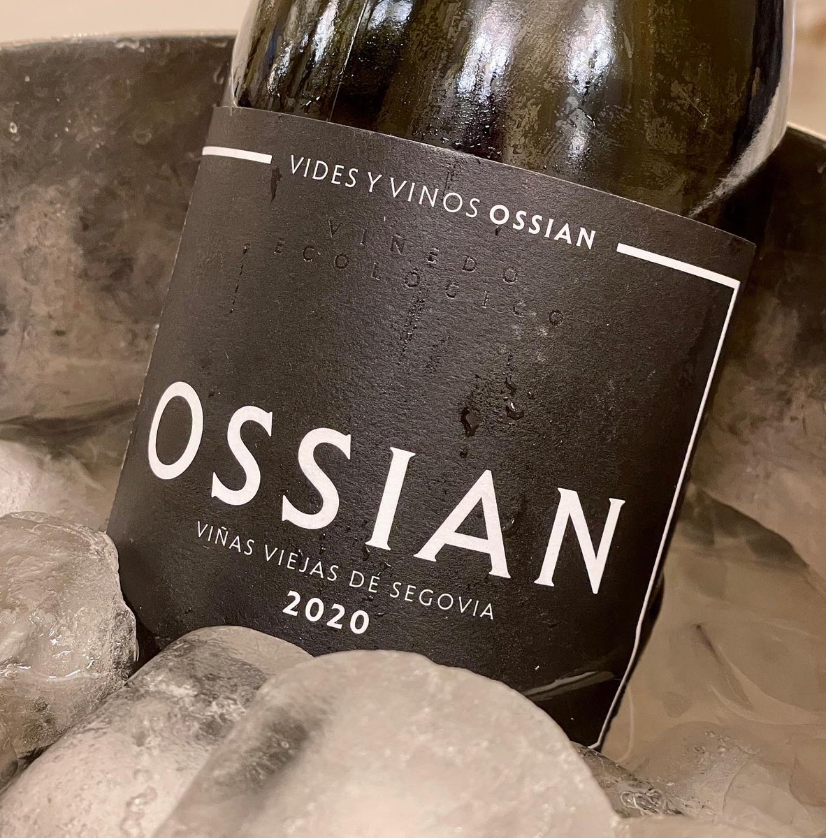 Shawn Hennessey ☀️🍷 tweet media