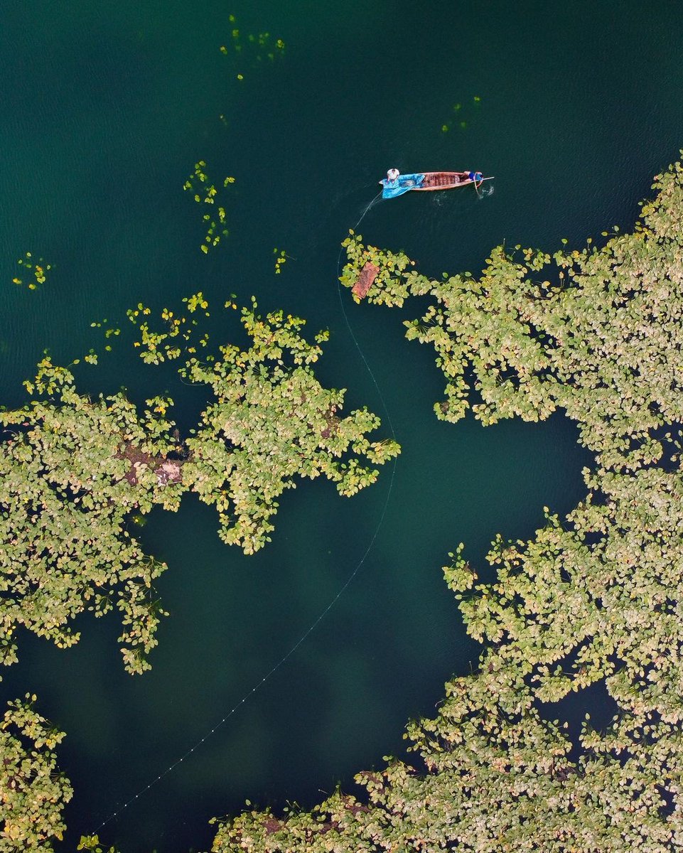 thisishatay's tweet photo. Water lilies and fisherman. 🌾 🛶

📸 @ osmanmaasoglu
#thisishatay
#türkiye #turkey #hatay #antakya #iskenderun #arsuz #belen #dörtyol #samandağ #defne #kırıkhan #reyhanlı #altınözü #hassa #erzin #payas #yayladağı #kumlu #antioch #showmeturkey #comeseeturkey #yourshotphotographer https://t.co/dVlDSdDsEm