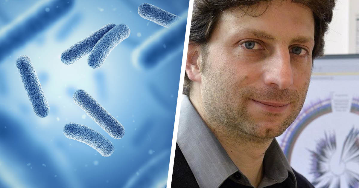 Uno studio internazionale coordinato da <a href="/CIBIO_UniTrento/">CIBIO - UniTrento</a> mostra che componenti del microbioma provengono dalle interazioni sociali. I risultati pubblicati sulla rivista scientifica <a href="/Nature/">nature</a> 
pressroom.unitn.it/node/13254/