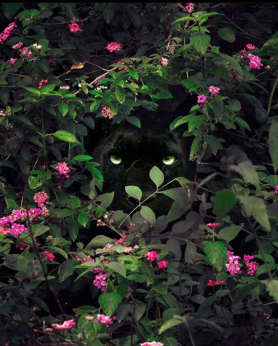 GopiSpeaks's tweet image. #Amazing:
FOOD FOR THOUGHT:

Essentially, generative #Al can create new things that until now were considered unique to human intelligence or creativity.

#GenerativeAl can create any media, that is, text, video, audio, images - every digital medium can be based on generative Al.