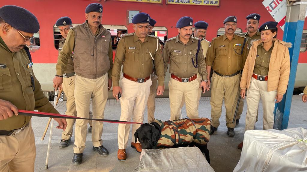 ChhapraToday's tweet photo. गणतंत्र दिवस को देखते हुए रेलवे सुरक्षा बल छपरा जंक्शन, जीआरपी छपरा व स्वान शाखा द्वारा संयुक्त रूप से प्लेटफॉर्म, फुटओवर ब्रिज, पार्सल घर व आने जाने वाली गाड़ियों में विशेष चेकिंग अभियान चलाया गया.

@nerailwaygkp

#republicday2023 
#ChhapraToday 
#ChhapraJunction https://t.co/1AII7pbEZS