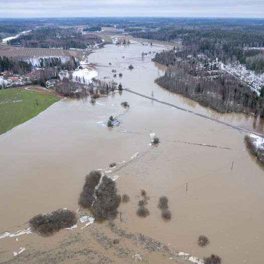#Talvitulva koettelee #Vantaanjoki valuma-aluetta. Tuusulan Palojoella meanderoiva jokiuoma erottuu heikosti veden pinnan alta, pellot ovat jääneet veden alle. Ilmastonmuutoksen myötä on löydettävä keinoja veden viivyttämiseen yläjuoksun pienissä uomissa, metsissä ja suoalueilla.
