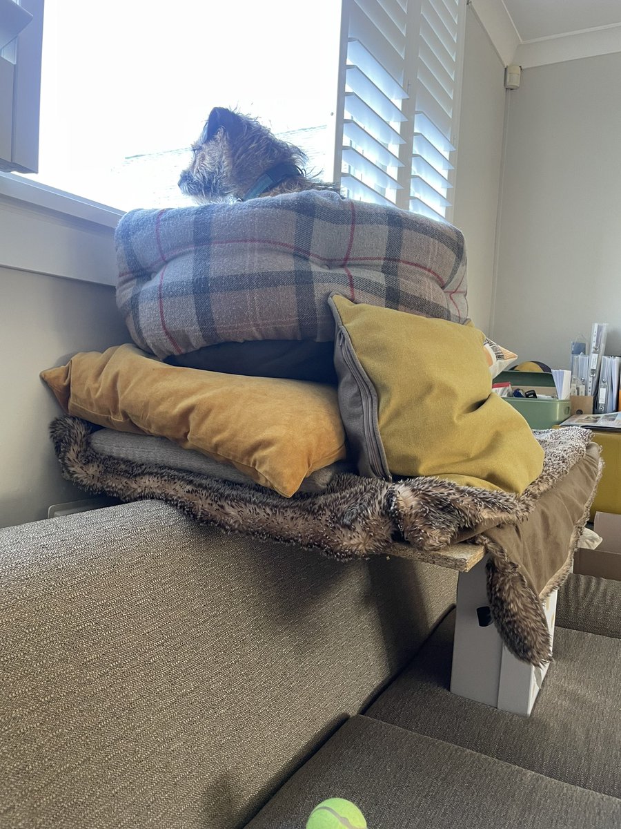 Important work pals. #BTPosse