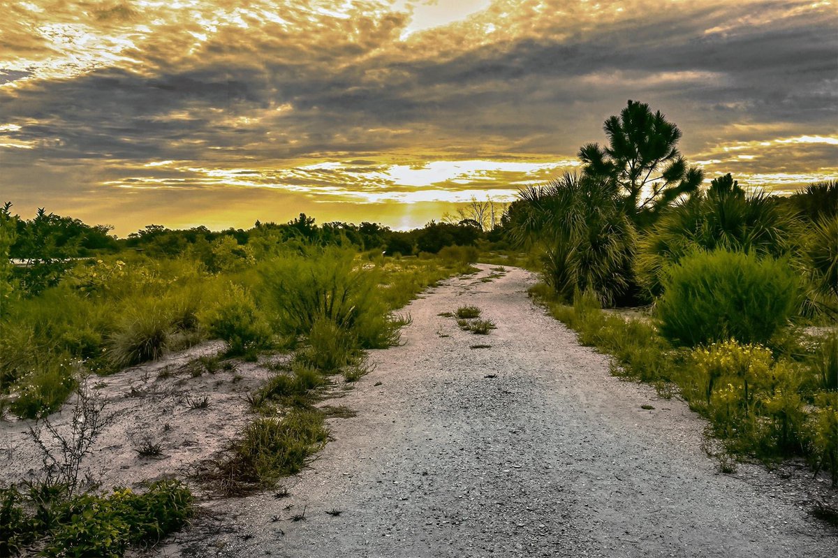 Sunrise walk Perico preserve Florida #sunrise #ThePhotoHour #StormHour #TwitterNaturePhotography #NaturePhotography #photooftheday #NikonUSA #NikonCreator #nikonphotography