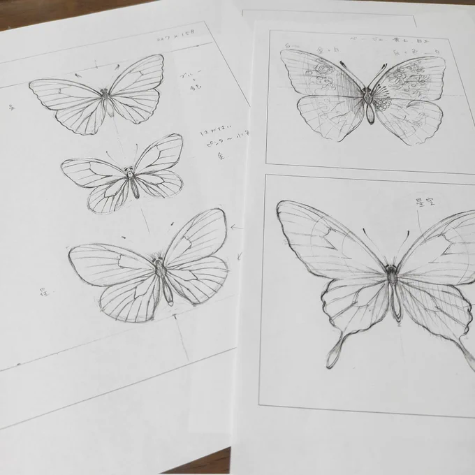 草稿が完成。手描きを読み込んでPCで加工して印刷。サクッと出来たからもっと早くやっておけば良かった。これからは小下絵もPCでやる予定。色々試したり微調整するのはデジタルが便利。

今回は初めて複数の蝶の絵も描いてみます。 